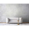 Gray Abstract Wall Mural Model Roya for Modern Interiors