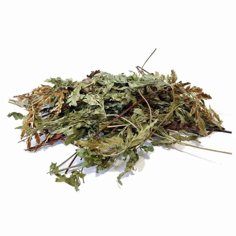 Organic Dried Maidenhair Fern Leaves – 500g