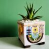 Decorative Persian Square Concrete Vase, Featuring the Kabootar Model with a Boho Bird Motif