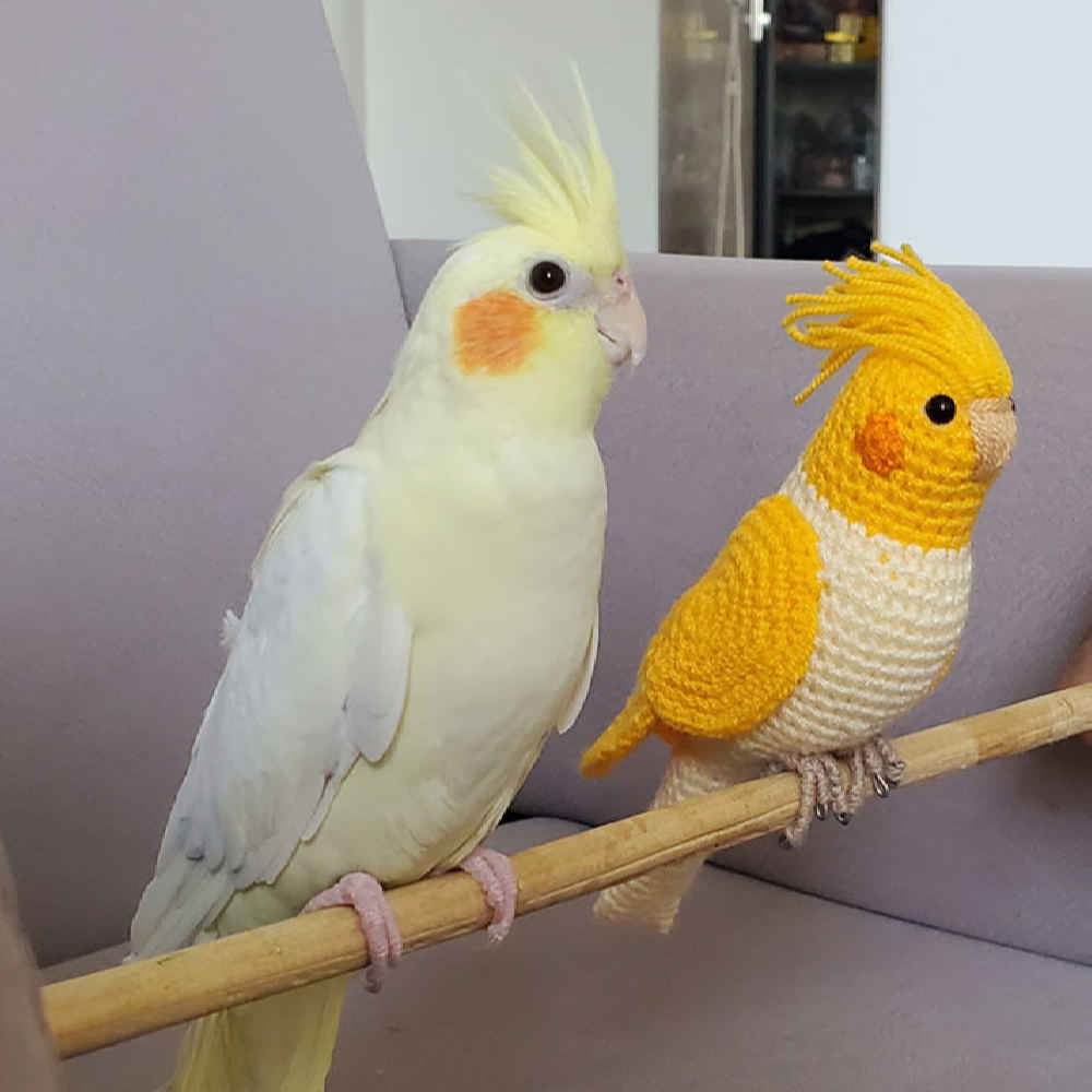 Amigurumi Stuffed Cockatiel Bird – Handmade Crochet Plush Toy