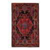 Hand-Knotted Persian Hamadan Black Garden Rug (Traditional Floral Medallion) - Red Wool
