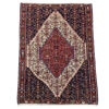 Ahoo Traditional Geometric Kilim Rug - Handwoven Sanandaj Wool Blend