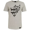 Gray Cotton Short Sleeve T-Shirt Model Arezoo – Casual Comfort