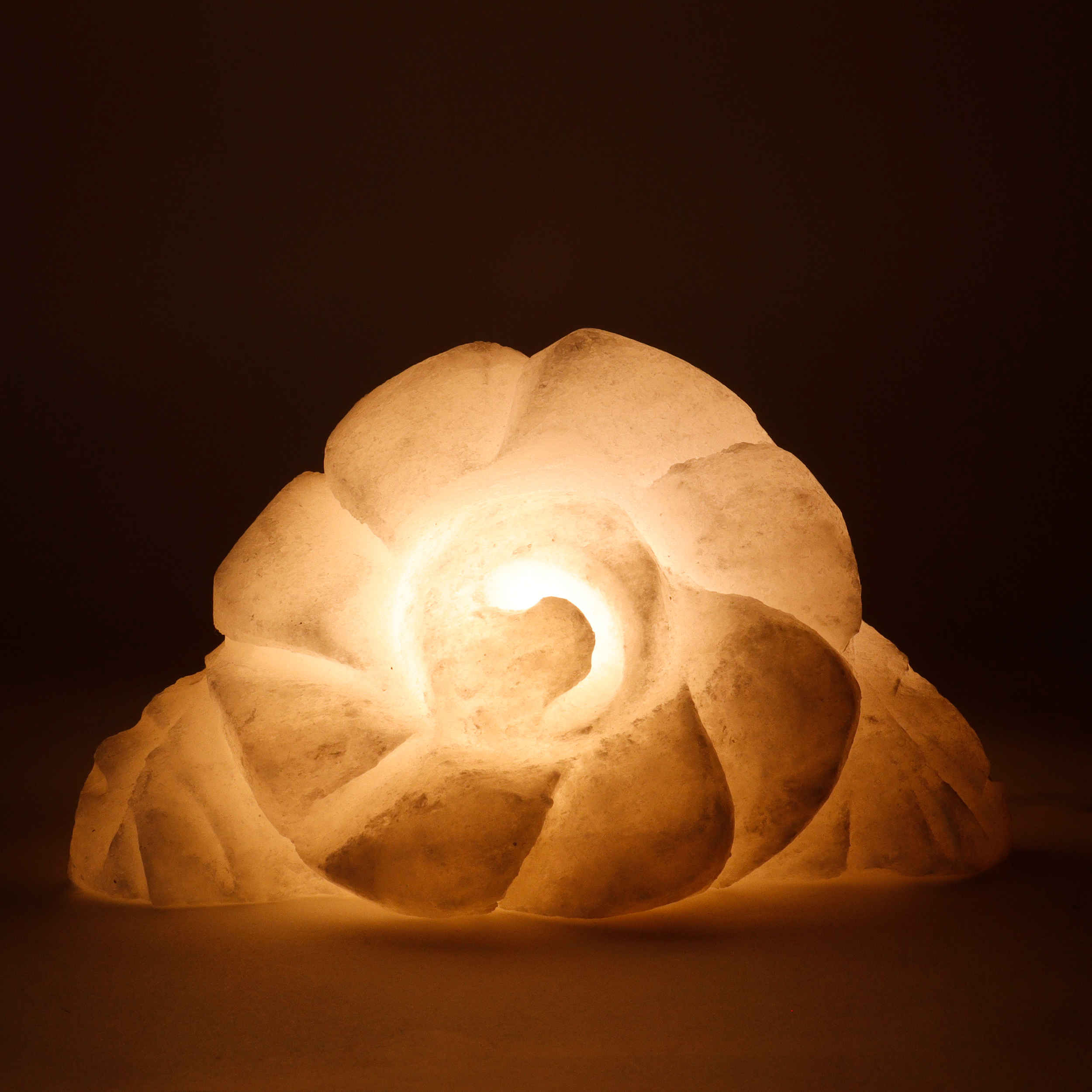 Persian Flower Salt Lamp – Handcrafted Royal Design
