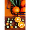 Metal Wire Fruit Basket With Wooden Handle & Base