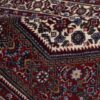 Hand-Knotted Persian Zanjan Sara Rug (Tribal Mahi Medallion / Herati) - Brown Wool