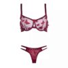 Lingerie Set Bra & Thong for Women Chic Butterfly-Designed