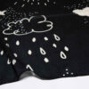 Printed Shawl for Women Artistic & Lightweight