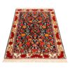 Hand-Knotted Persian Bojnourd Tribal Rug (All-over Floral Bordered) - Black & Red Silk / Wool