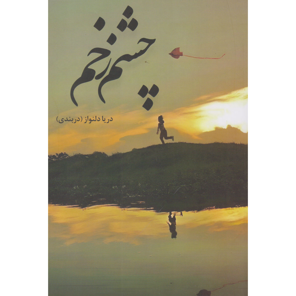 Cheshm Zakhm Book by Darya Delnavaz