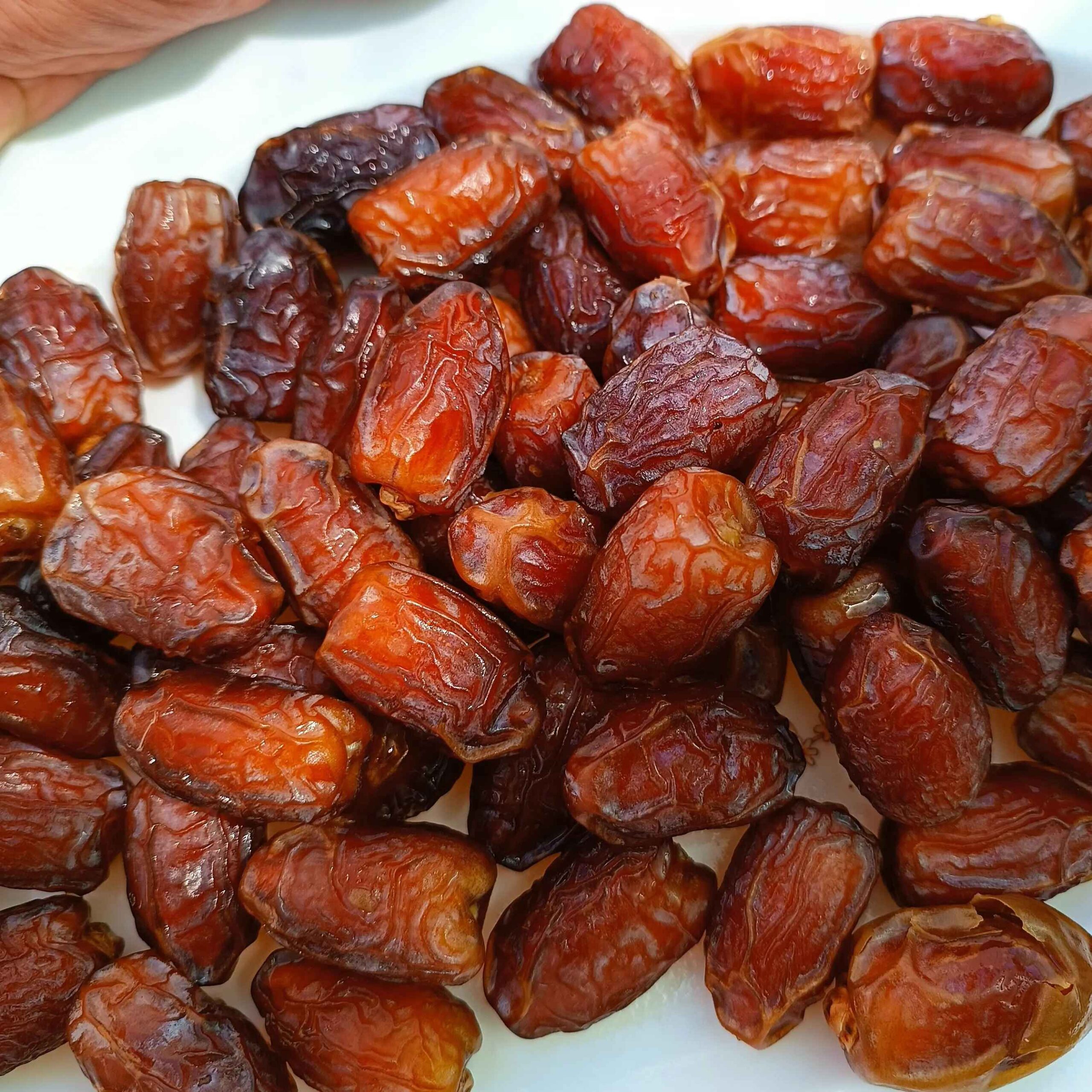 Premium Iranian Barhi Dates – Traditional Semi-Dried Sweet Dates from Khuzestan – 1000g