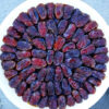 Organic Iranian Gantar Dates – High-Quality Semi-Dried Sweet Dates - 3000g