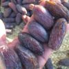 Organic Iranian Medjool Dates – Premium Jumbo King Dried Dates - 2000g