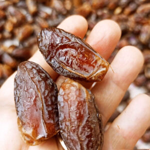 Organic Iranian Shahabi Dates – Authentic Sweet Semi-Dried Dates – 1000g