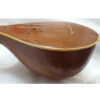 Traditional Persian Setar by Fard, Model Shams (For Beginners)