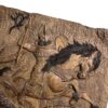 Handcrafted Solid Wood Persian Backgammon Board featuring Rostam Battle Shahnameh
