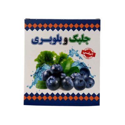 Spirulina Algae Powder with Blueberry Flavor, Nutritional Superfood Rich in Protein & Minerals, 400g