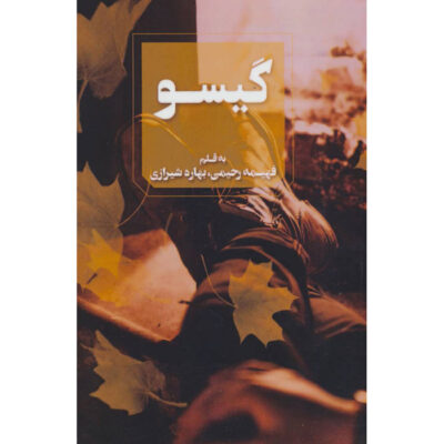 Gisoo Novel by Fahimeh Rahimi
