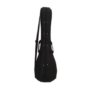 Hard Case for Persian Setar with Soft Lining & Fabric Covering