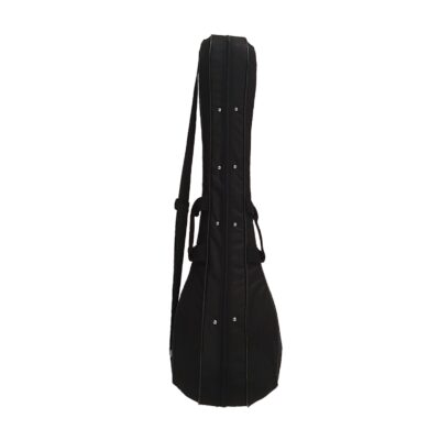Hard Case for Persian Setar with Soft Lining & Fabric Covering