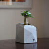 Mini Concrete Vase with a Geometric Design, Handcrafted in Gray for a Subtle and Minimalist Decor Piece