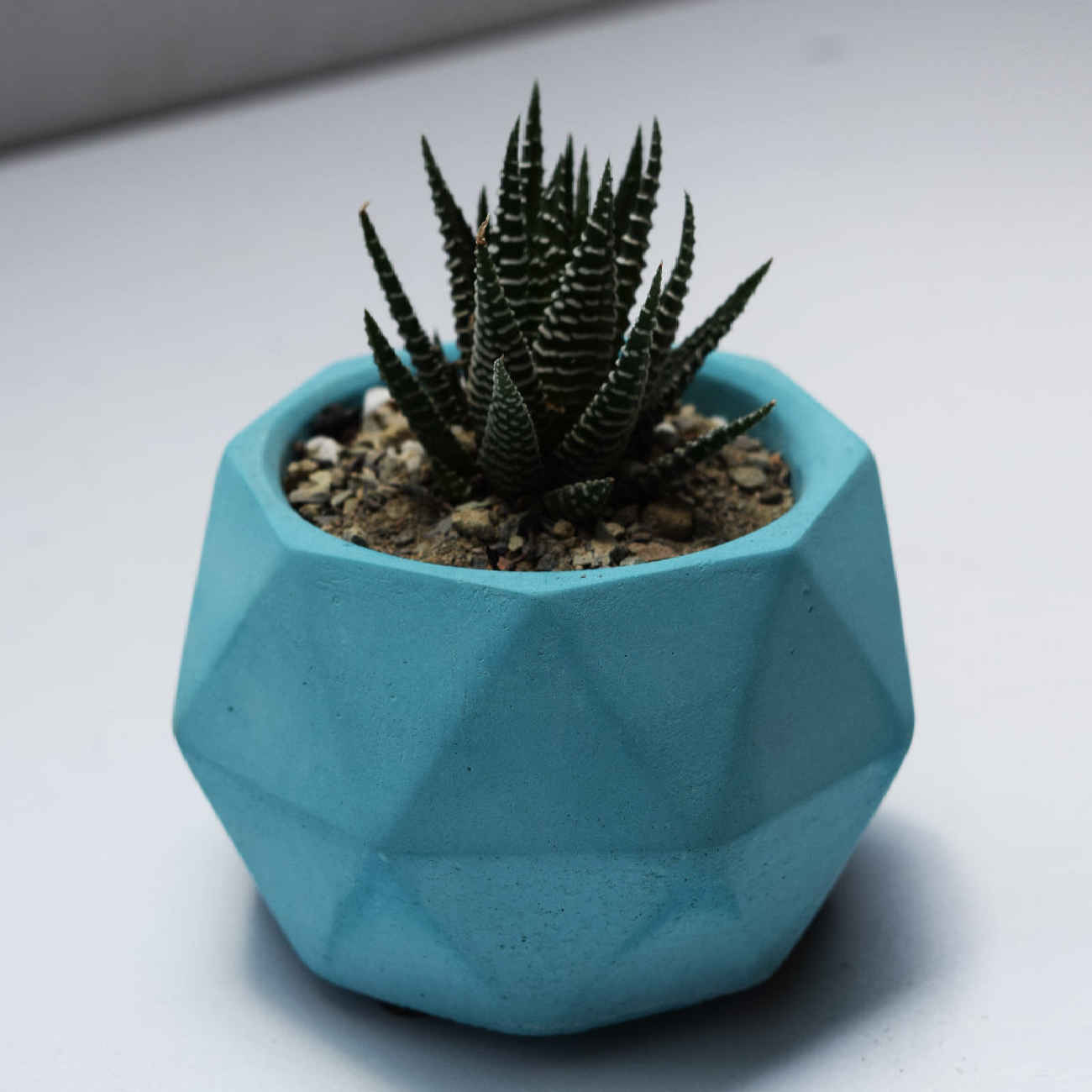 Minimalist Concrete Vase with a Polyhedral Shape in Blue, Handcrafted for a Contemporary Geometric Look