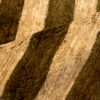Genuine Handwoven Persian Striped Gabbeh Rug in Brown - Wool