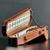 Persian Setar Hard Case Luxurious Handmade from Fir Wood & Leather