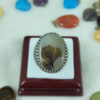 Persian Dendritic Agate Shajar Silver Ring for Men Hadi