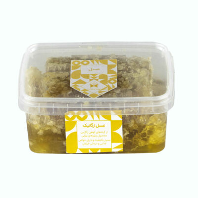 Iranian Honey with Natural Honeycomb from Chaharmahal and Bakhtiari, Pure Regional Honey, 500g
