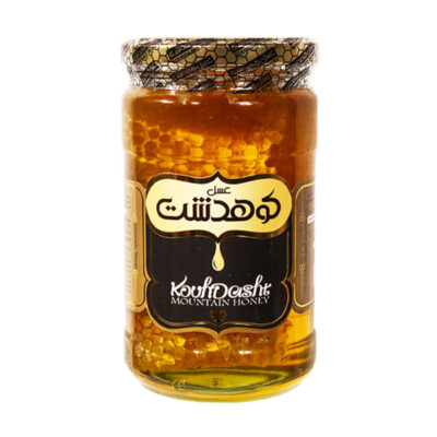 Iranian Honey with Natural Honeycomb from Kuhdasht Mountains, Pure Mountain Honey, 850g