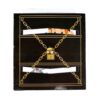 Mental Magic Trick Lock with Instructional DVD ( Farsi)