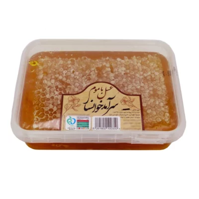 Iranian Multi-Flower Honey with Natural Honeycomb from Khansar, Pure Floral Honey, 700g