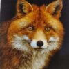 Hand-Knotted Persian Pictorial Rug from Tabriz Depicting Red Fox