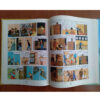 Universal Publishers - Tintin in America Book by Hergé (Farsi)