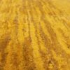 Authentic Handwoven Persian Minimalist Gabbeh Rug - Solid Yellow Wool