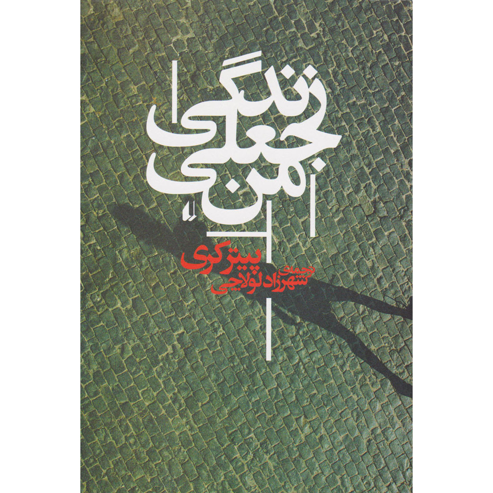 My Life as a Fake Novel by Peter Carey (Farsi)