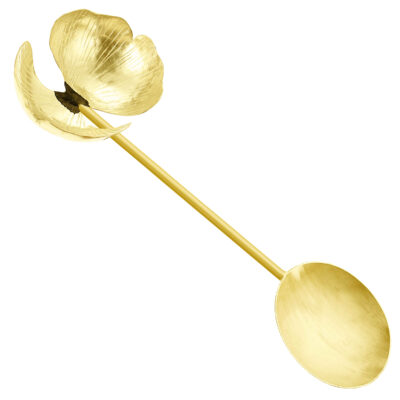 Brass Nut Serving Spoon with Orchids Design