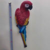 Decorative Animal Figurine Wall Mounted Parrot Statue - Tropical Bird Art