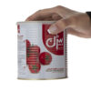 Persian Canned Tomato Paste Bijan 800 gr (2x)