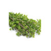Organic Dried Iranian Marjoram Leaves - 120g