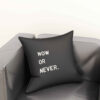 Velvet Cushion Cover Double-Sided - Motivational Quote Design (Set of 2)