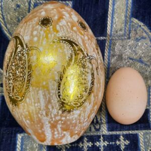 Persian Decorative Hand Painted Ostrich Egg Shell – Paisley