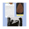 Hoopa: Iranian Children's Magazine Issue #2