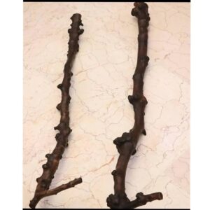 Iranian Dervish Ethnic Wooden Cane