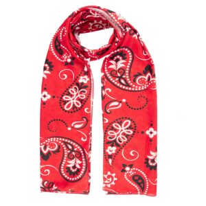 Traditional Shawl for Women with Paisley Design