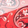 Traditional Shawl for Women with Paisley Design