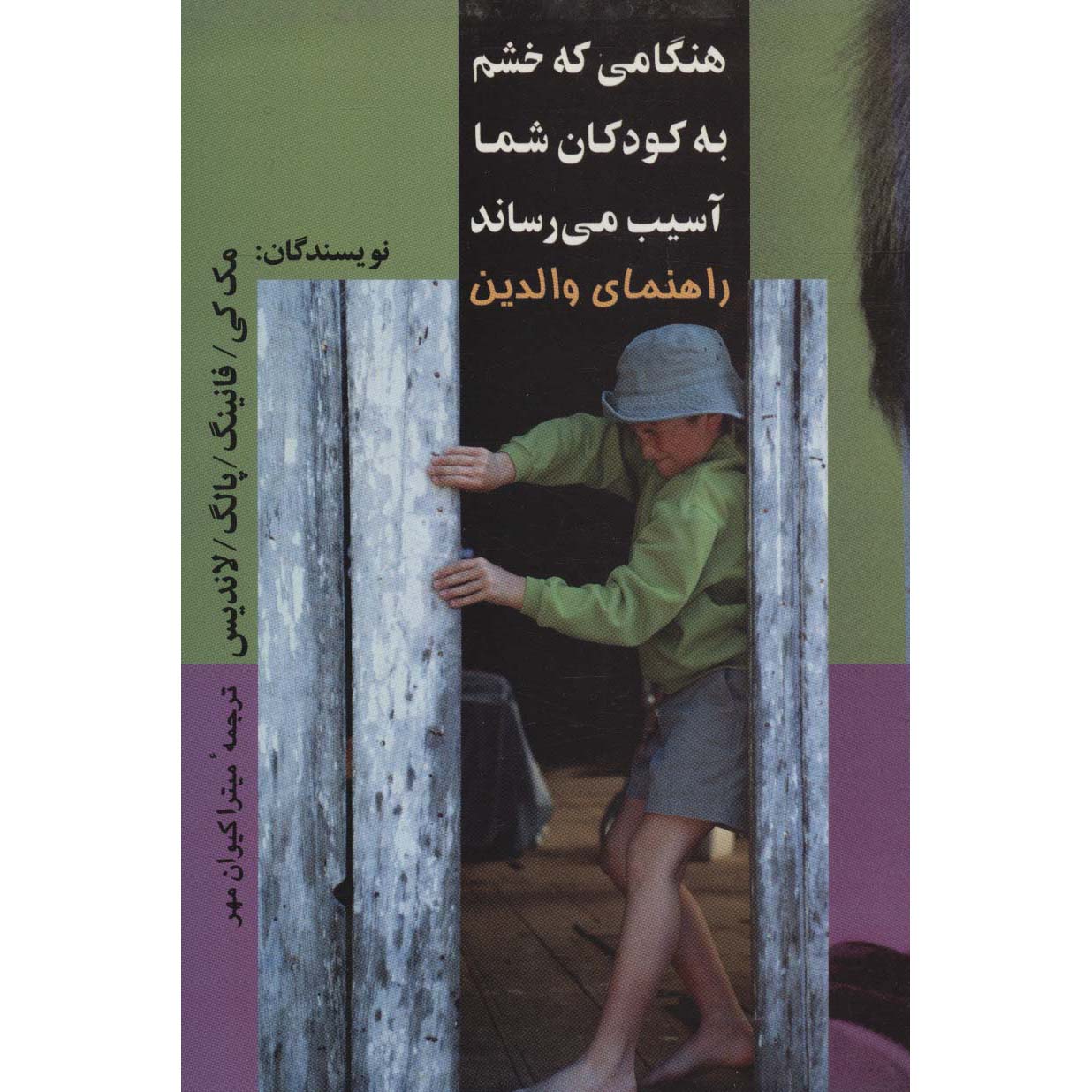 When Anger Hurts Your Kids: A Parent’s Guide Patrick Fanning (Farsi)