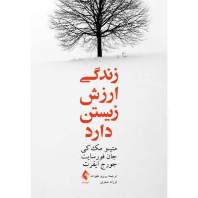 Your Life on Purpose by John P. Forsyth, and Matthew McKay (Farsi)