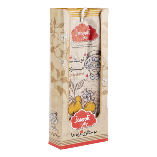 Persian Apricot Lavashak Fruit Roll – Traditional Fruit Leather Snack, 12 Pieces (2 Packs)